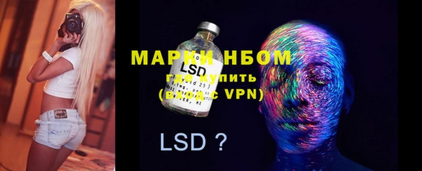 индика Алексеевка