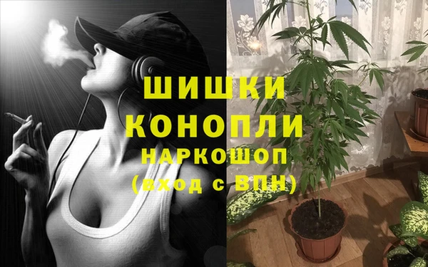 MESCALINE Алзамай