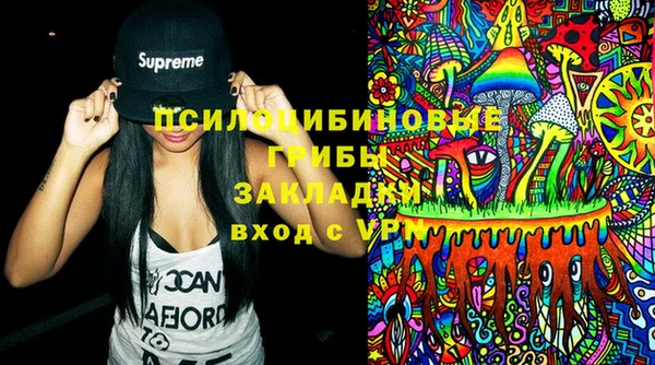 индика Алексеевка