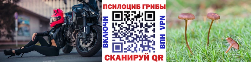 купить закладку  Неман  Галлюциногенные грибы Psilocybine cubensis 